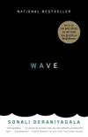 Wave synopsis, comments