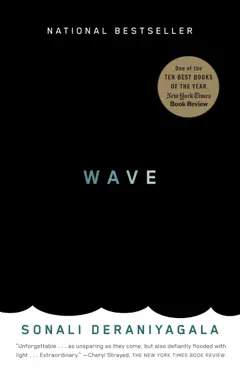 wave book cover image