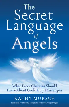 the secret language of angels book cover image