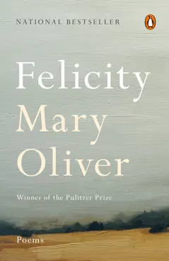 felicity book cover image