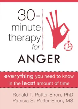 thirty-minute therapy for anger book cover image
