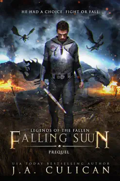 falling suun book cover image