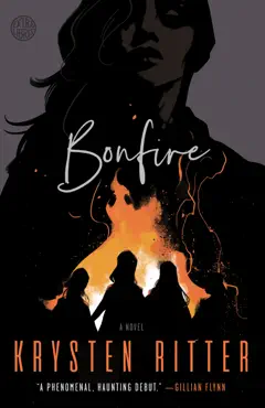 bonfire book cover image