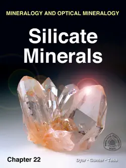 silicate minerals book cover image