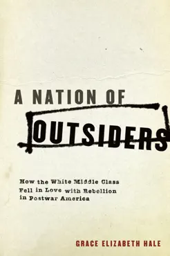 a nation of outsiders book cover image