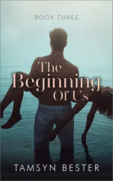 the beginning of us - book three book cover image