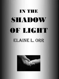 in the shadow of light book cover image