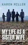 My Life as a Sister Wife synopsis, comments