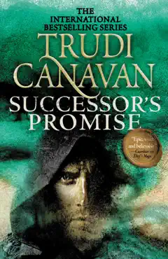 successor's promise book cover image