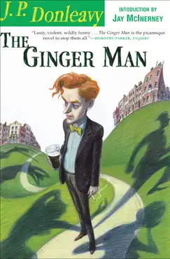 the ginger man book cover image