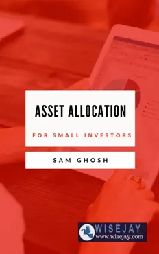 asset allocation for small investors book cover image