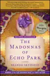 The Madonnas of Echo Park synopsis, comments