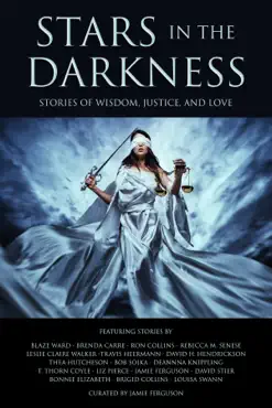 stars in the darkness book cover image