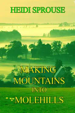 making mountains into molehills book cover image