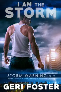 i am the storm book cover image