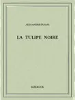 La Tulipe noire synopsis, comments