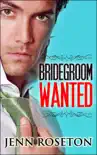 Bridegroom Wanted synopsis, comments