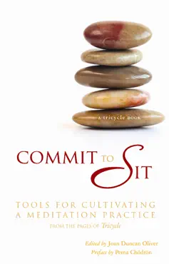 commit to sit book cover image