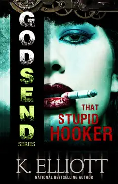 godsend 10: that stupid hooker book cover image