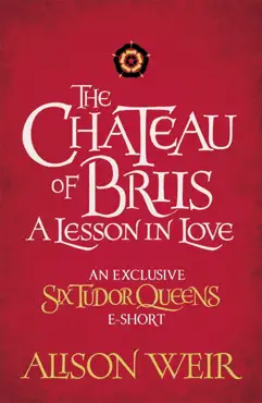 the chateau of briis imagen de la portada del libro