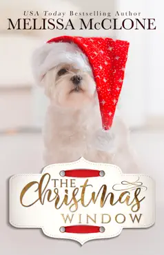 the christmas window book cover image
