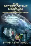 The Secret of the Bird God synopsis, comments