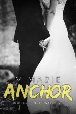 anchor book cover image