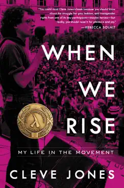 when we rise book cover image