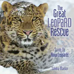 the great leopard rescue book cover image