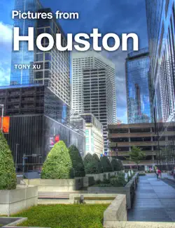 pictures from houston book cover image