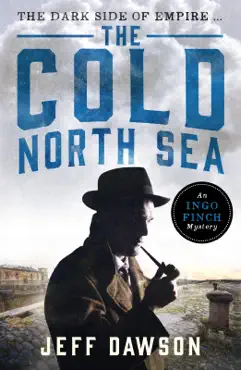 the cold north sea book cover image