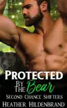 Protected By The Bear synopsis, comments