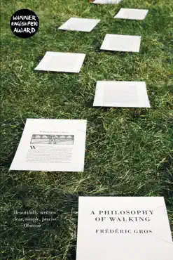 a philosophy of walking book cover image