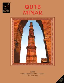 qutb minar book cover image