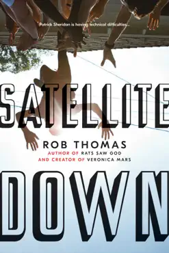 satellite down book cover image