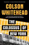 The Colossus of New York synopsis, comments