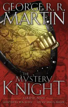 the mystery knight: a graphic novel book cover image