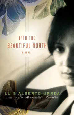 into the beautiful north book cover image