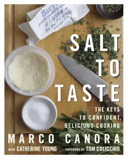 salt to taste book cover image