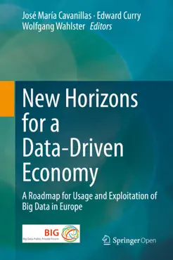 new horizons for a data-driven economy book cover image