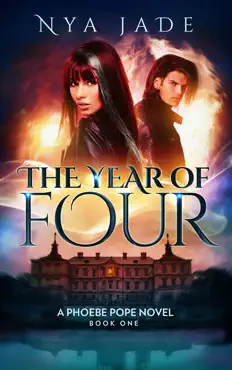 the year of four book cover image