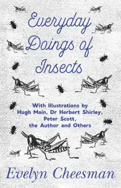 everyday doings of insects - with illustrations by hugh main, dr herbert shirley, peter scott, the author and others book cover image