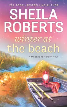 winter at the beach book cover image
