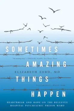 sometimes amazing things happen book cover image