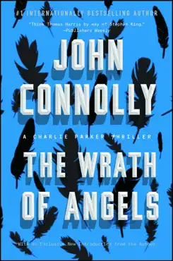 the wrath of angels book cover image