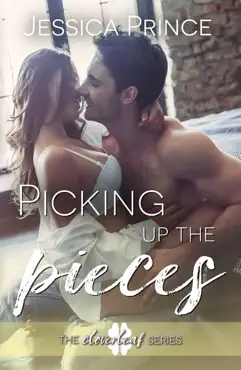picking up the pieces book cover image