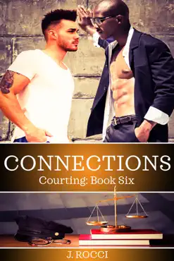 courting 6: connections book cover image