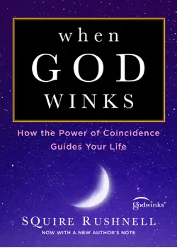 when god winks book cover image