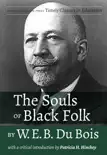 The Souls of Black Folk by W.E.B. Du Bois synopsis, comments