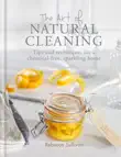 The Art of Natural Cleaning synopsis, comments